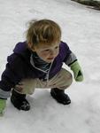 In the Snow